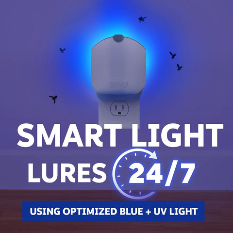 Zevo Compact Flying Insect Trap Kit with Refill Cartridges - Plug-in Indoor Bug Catcher for Gnats, House & Fruit Flies - Blue + UV Light Technology, No Odor, No Mess (1 Plug-in Device + 3 Cartridges)